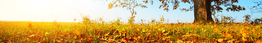 social_top_banner_final